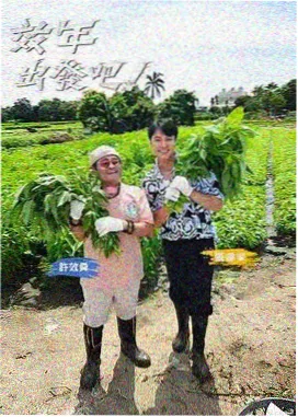 6v影视综艺节目动态